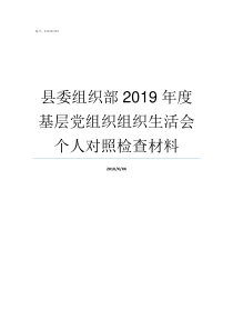 县委组织部2019年度基层党组织组织生活会个人对照检查材料2019年县委组织部干部拟任公示