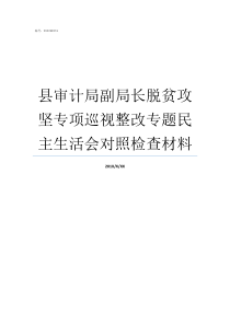 县审计局副局长脱贫攻坚专项巡视整改专题民主生活会对照检查材料审计局副局长什么级别