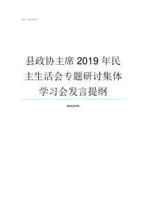 县政协主席2019年民主生活会专题研讨集体学习会发言提纲2019年中央政协主席