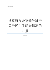 县政府办公室领导班子关于民主生活会情况的汇报金寨县人民政府领导