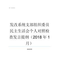 发改系统支部组织委员民主生活会个人对照检查发言提纲2018年1月支部组织委员不足