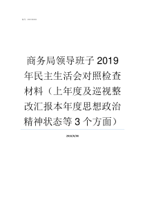 商务局领导班子2019年民主生活会对照检查材料上年度及巡视整改汇报本年度思想政治精神状态等3个方面商