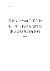 国企某支部班子不忘初心牢记使命专题民主生活会检视剖析材料支部不忘初心党员发言