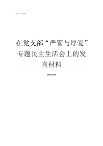 在党支部严管与厚爱专题民主生活会上的发言材料