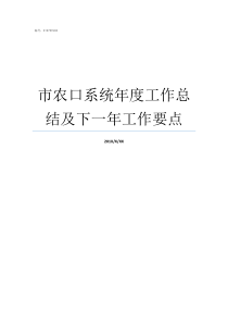 市农口系统年度工作总结及下一年工作要点农民系统