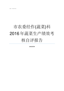 市农委经作蔬菜科2016年蔬菜生产绩效考核自评报告