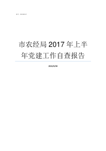 市农经局2017年上半年党建工作自查报告