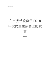 在市委常委班子2018年度民主生活会上的发言