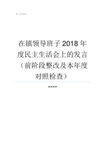 在镇领导班子2018年度民主生活会上的发言前阶段整改及本年度对照检查国家新任领导班子2018简介