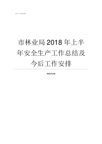 市林业局2018年上半年安全生产工作总结及今后工作安排