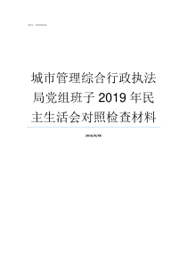 城市管理综合行政执法局党组班子2019年民主生活会对照检查材料城市综合执法办法