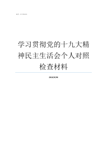 学习贯彻党的十九大精神民主生活会个人对照检查材料