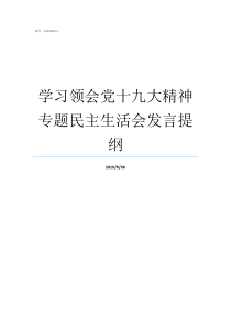 学习领会党十九大精神专题民主生活会发言提纲