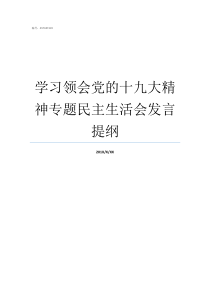 学习领会党的十九大精神专题民主生活会发言提纲