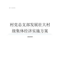 村党总支部发展壮大村级集体经济实施方案村党支部和村党组织