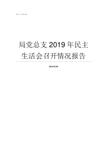 局党总支2019年民主生活会召开情况报告党支部总结2019