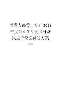 局党支部关于召开2019年度组织生活会和开展民主评议党员的方案党支部党员评议结果党支部是党的