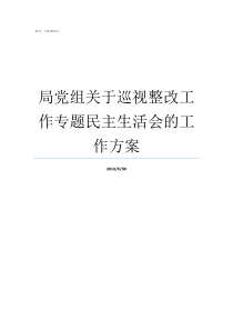 局党组关于巡视整改工作专题民主生活会的工作方案落实巡视整改党组