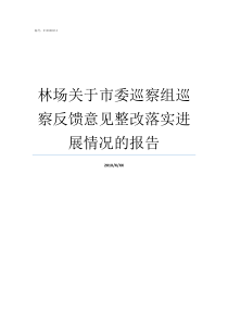 林场关于市委巡察组巡察反馈意见整改落实进展情况的报告市委巡察组