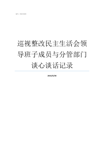 巡视整改民主生活会领导班子成员与分管部门谈心谈话记录