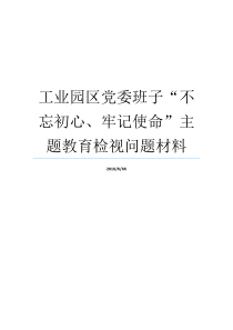 工业园区党委班子不忘初心牢记使命主题教育检视问题材料不忘初心领导班子意见