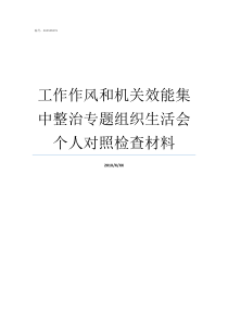 工作作风和机关效能集中整治专题组织生活会个人对照检查材料