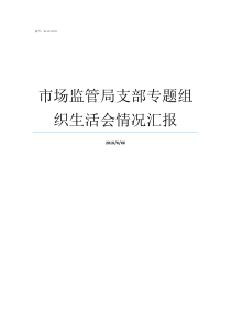 市场监管局支部专题组织生活会情况汇报支部党建工作情况汇报