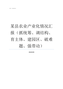 某县农业产业化情况汇报抓统筹调结构育主体建园区破难题强带动农业产业化曾衍德