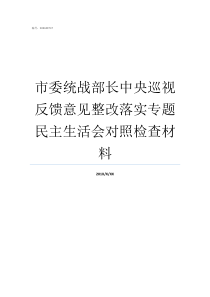 市委统战部长中央巡视反馈意见整改落实专题民主生活会对照检查材料