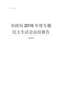 市政局2016年度专题民主生活会总结报告市政局是做什么的