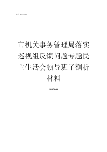 市机关事务管理局落实巡视组反馈问题专题民主生活会领导班子剖析材料