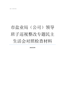 市盐业局公司领导班子巡视整改专题民主生活会对照检查材料河南盐业局领导筒历