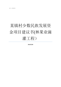 某镇村少数民族发展资金项目建议书林果业滴灌工程少数民族聚居村