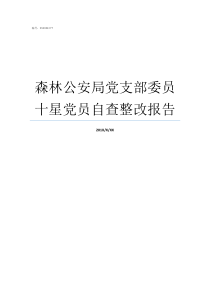 森林公安局党支部委员十星党员自查整改报告森林公安局