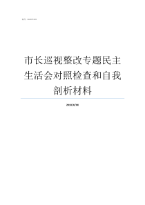 市长巡视整改专题民主生活会对照检查和自我剖析材料巡视整改