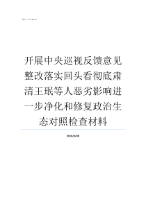 开展中央巡视反馈意见整改落实回头看彻底肃清王珉等人恶劣影响进一步净化和修复政治生态对照检查材料中央省