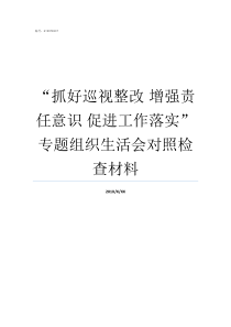 抓好巡视整改nbsp增强责任意识nbsp促进工作落实专题组织生活会对照检查材料从抓好巡视整改