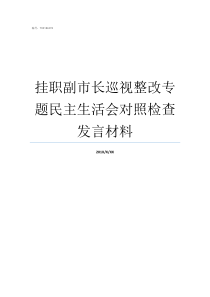 挂职副市长巡视整改专题民主生活会对照检查发言材料挂职副市长一般几年