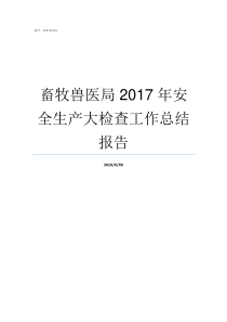 畜牧兽医局2017年安全生产大检查工作总结报告怎么进畜牧兽医局