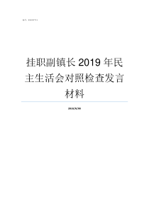 挂职副镇长2019年民主生活会对照检查发言材料