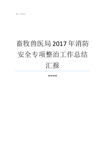 畜牧兽医局2017年消防安全专项整治工作总结汇报畜牧兽医师个人工作总结