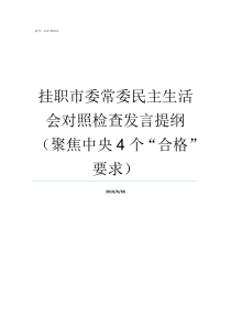 挂职市委常委民主生活会对照检查发言提纲聚焦中央4个合格要求