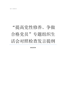 提高党性修养争做合格党员专题组织生活会对照检查发言提纲提高党性修养争做合格党员