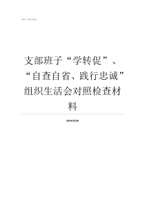 支部班子学转促自查自省践行忠诚组织生活会对照检查材料对支部班子成员的意见