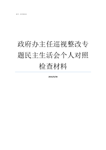 政府办主任巡视整改专题民主生活会个人对照检查材料巡视整改要求