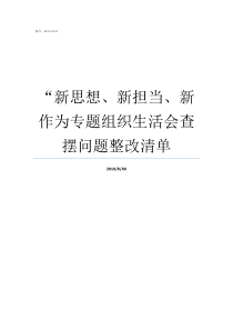 新思想新担当新作为专题组织生活会查摆问题整改清单新思想新担当新作为内容