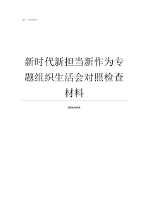 新时代新担当新作为专题组织生活会对照检查材料