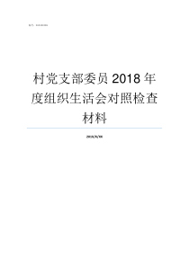 村党支部委员2018年度组织生活会对照检查材料