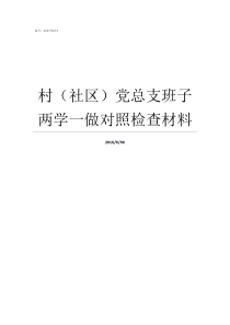 村社区党总支班子两学一做对照检查材料党支部班子