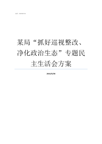 某局抓好巡视整改净化政治生态专题民主生活会方案从抓好巡视整改